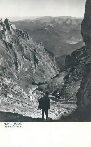 Romania Muntii Bucegi Valea Cerbului vedere generala