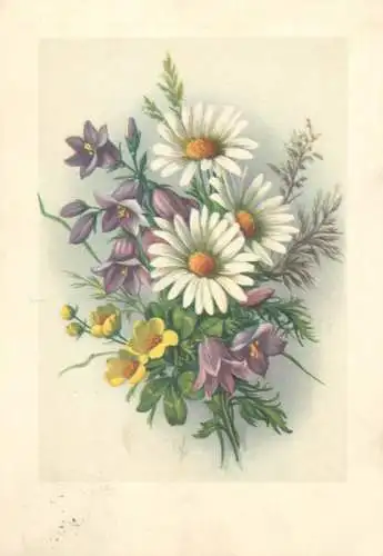 Postcard flowers 1956 Germany Bochum