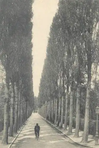 Postcard France place to identify man on bicycle