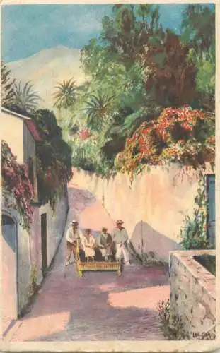 Postcard Portugal Madeira sliding from the mountain