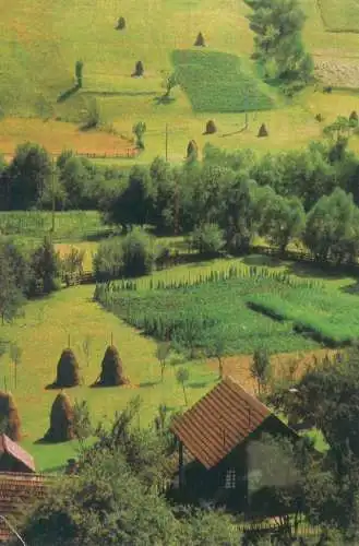 Romania Muntii Apuseni peisaj montan pitoresc