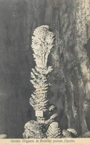 Postcard Italy grotta gigante di Brisciki presso Opcina