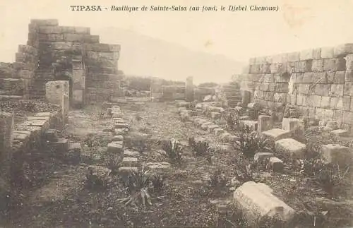 Postcard Algerie Tipasa basilique de Sainte-Salsa