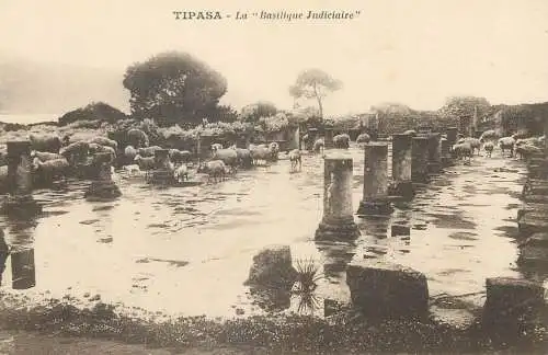 Postcard Algerie Tipasa la basilique judiciaire ruins