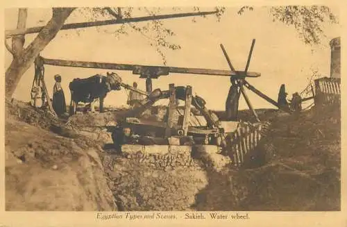 Egyptian types and scenes Sakieh water wheel