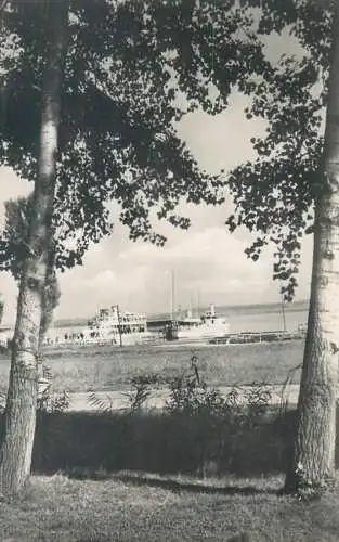 Postcard Hungary Udvozlet a Balatonrol 1962