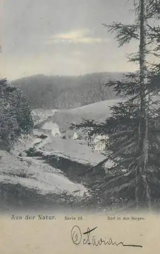 Aus der Natur Serie III Dorf in den Bergen