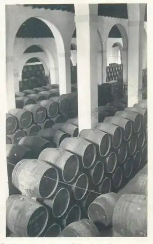 Spain Jerez de la Frontera Winery typically jerezan
