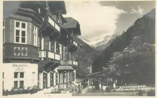 Austria Bad Gastein Kotschachtal Gruner-Baum