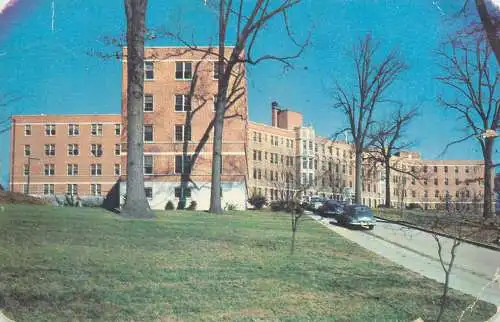Postcard United States  TN - Tennessee > Knoxville 1953