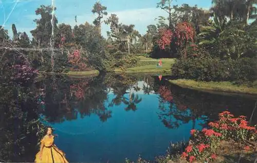 Postcard USA FL - Florida > Orlandoblossom time 1976