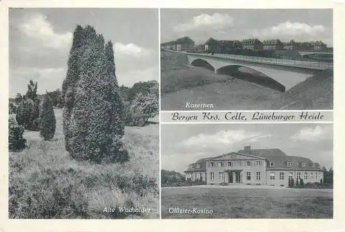 Germany Bergen Krs. Celle, Luneburger Heide multi view