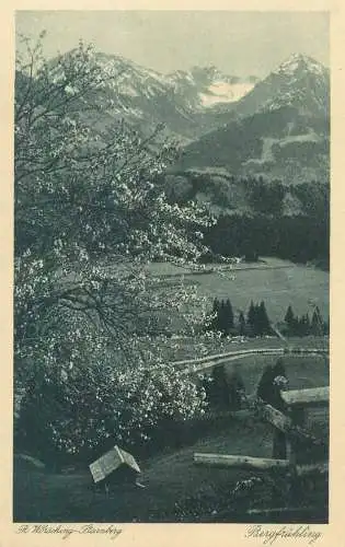 Postcard Germany Bergfruhling