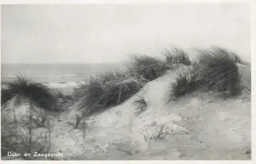 Netherlands dunes and seascape beach view