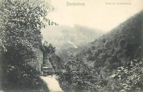 Germany Blankenburg Partie am Schwindelweg