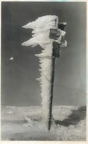 Postcard Germany Feldberg Schwarzwald 1951