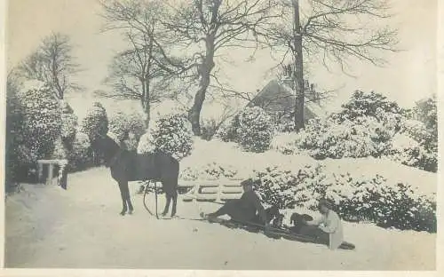 Winter scenery horse-drawn sleigh family types and scenes social history group photo