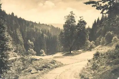 Postcard Germania Vessertal Thuringia 1959