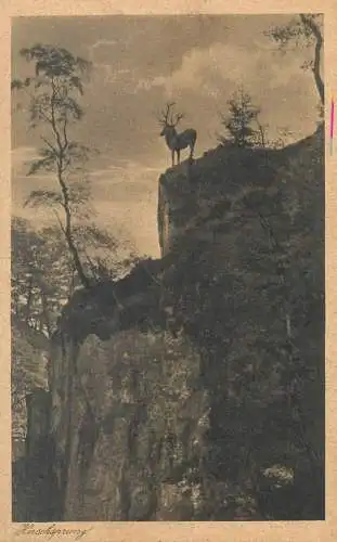 Postcard Germany Freiburg im Breisgau