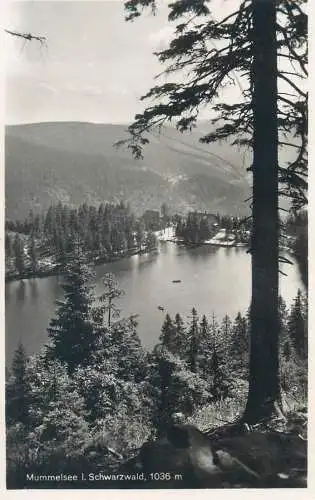 Postcard Germany Mummelsee Schwarzwald