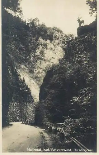 Postcard Germany Hollental bad Schwarzwald