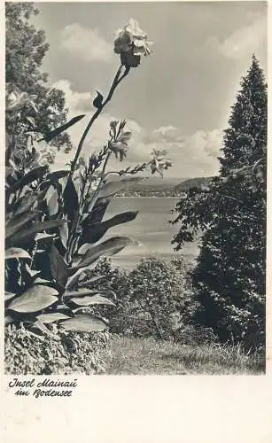 Postcard Germany Insel Mainau