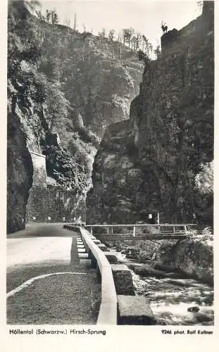 Postcard Germany Hirschsprung schwarzw