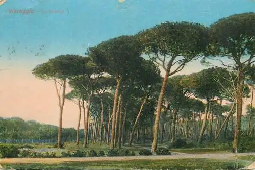 Italy Viareggio La Pineta