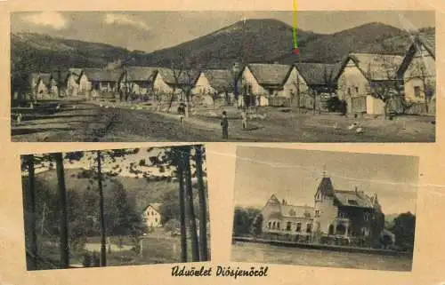 Hungary Diosjeno