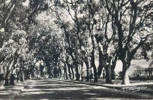 Guinee Conakry La route du Niger