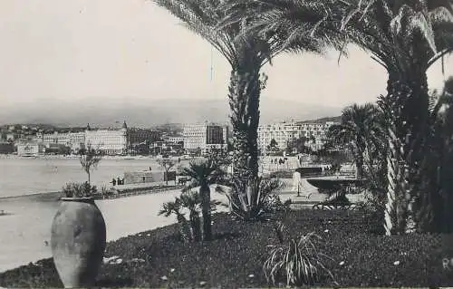 France Cote d'Azur Cannes le Parc Albert I