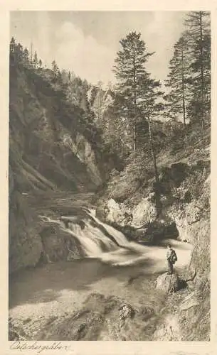 Postcard Austria  Erlauf Ötscherbach