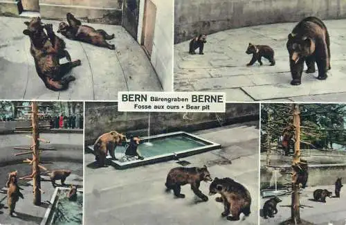 Switzerland Bern bear pit multi view