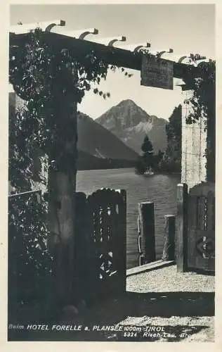 Postcard Austria Tirol Beil Hotel Forelle Plansee