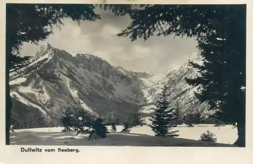 Postcard Austria dullwitz vom seeberg