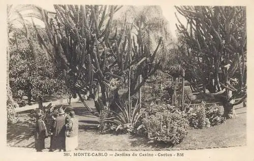 Postcard Monaco Monte Carlo jardins du Casino cactus