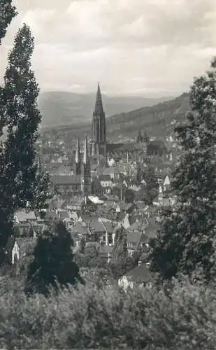 Postcard Germany Das Schone Freiburg Schwarzwald 1958