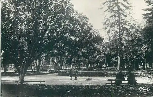 Postcard France Var Draguignan le jardin anglais