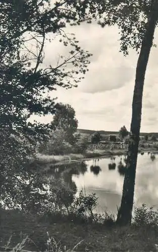 Postcard Germany Bad Wurzach partie aus dem Moor 1957