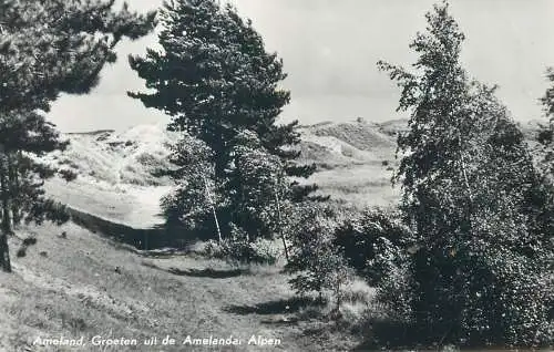 Postcard Netherlands Ameland Hotel Steinvoorte