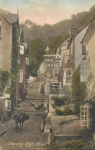 England Clovelly High Street donkeys