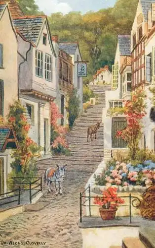 England Clovelly up-a-long donkeys