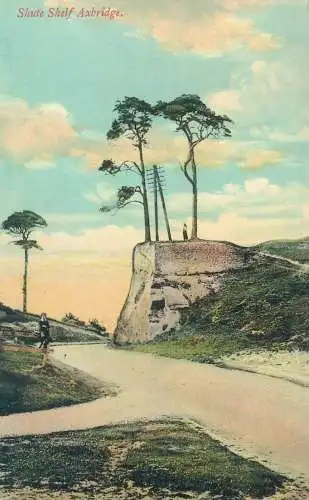 England Shute Shelf Axbridge