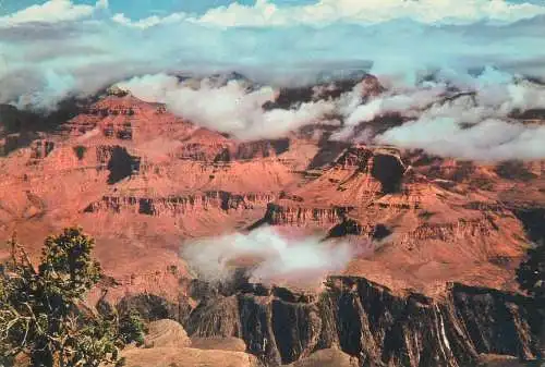 USA Grand Canyon AZ general view