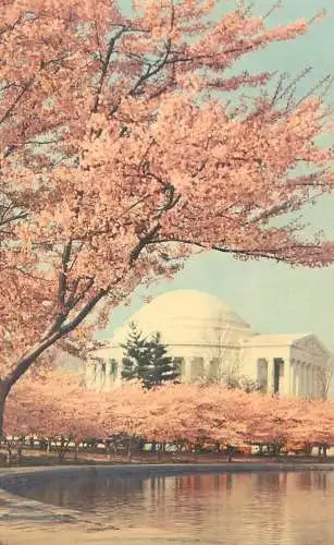 Postcard USA Washington D.C. Jefferson memorial