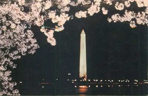 Postcard USA United States > IL - Illinois > Chicago obelisk
