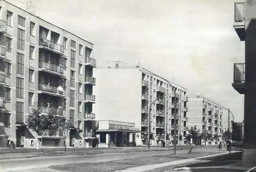 Postcard Hungary Szekesfehervar Jozsef Attila utca 1964