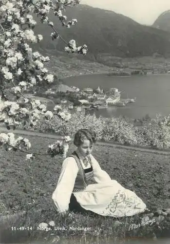 Postcard Norway Ulvik Hardanger