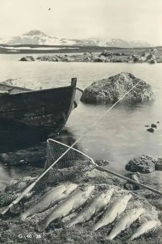 Postcard Norway fishing scene fish
