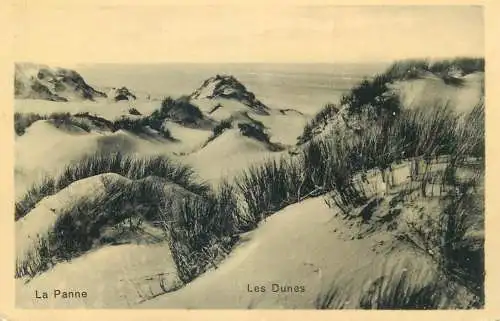 Postcard Belgium les dunes la panne